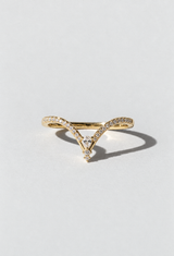 Fuji Ring