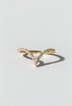 Fuji Ring