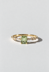 Kombucha Ring