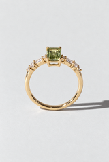 Kombucha Ring