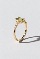 Kombucha Ring