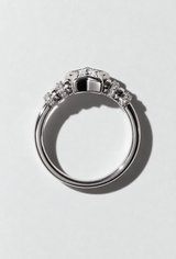 Moondust | Sterling Silver Ring