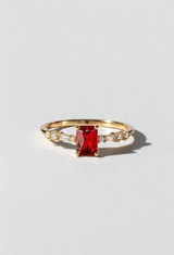 Picnic Ring