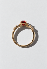 Picnic Ring
