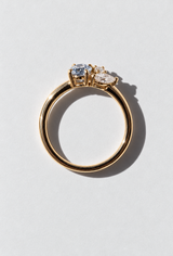Polo Ring