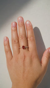 Picnic Ring