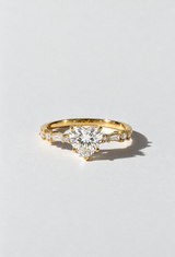 Velour Ring